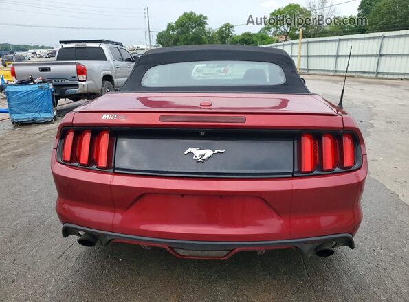 1FATP8UH5H5282535 2017 FORD MUSTANG Maroon Հետևի տեսք