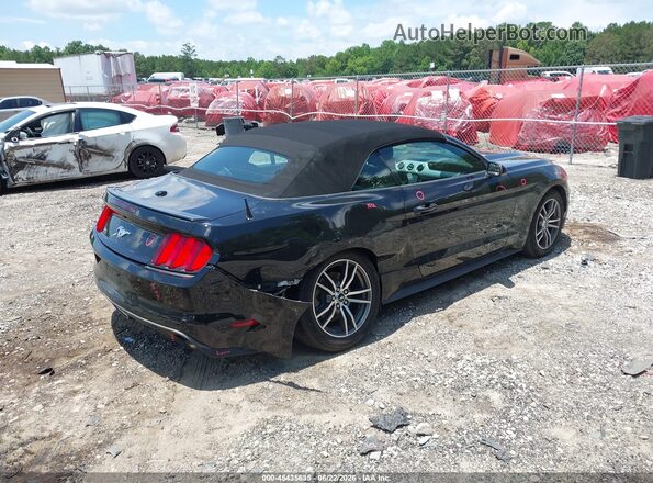 1FATP8UH5H5293504 2017 FORD MUSTANG Black Հետևի աջ