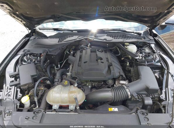 1FATP8UH5H5293504 2017 FORD MUSTANG Black Հետևի տեսք