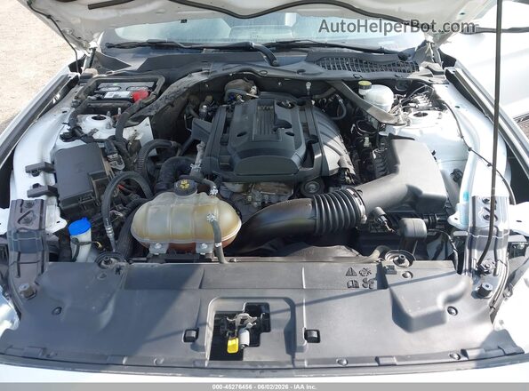 1FATP8UH5L5114502 2020 FORD MUSTANG Белый Вид сзади
