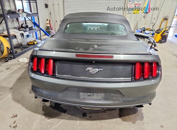 1FATP8UH6G5284759 2016 FORD MUSTANG Gray Հետևի տեսք