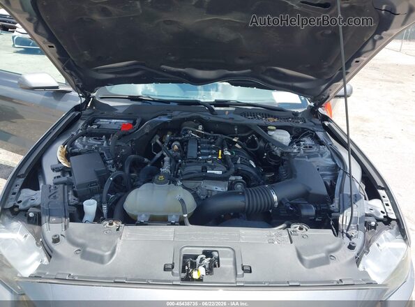 1FATP8UH6M5105258 2021 FORD MUSTANG Gray Вид ззаду