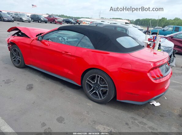 1FATP8UH6P5105328 2023 FORD MUSTANG Red Tył lewy