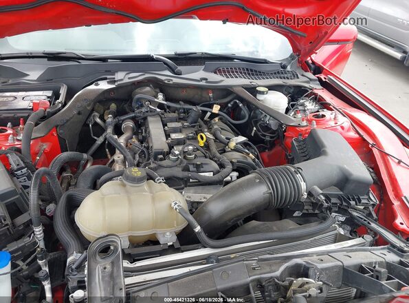 1FATP8UH6P5105328 2023 FORD MUSTANG Red Widok z tyłu