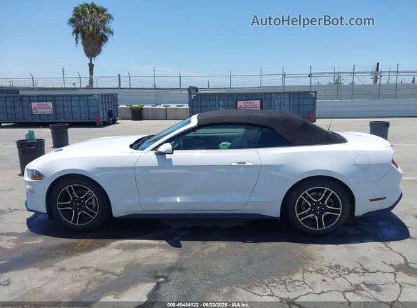 1FATP8UH7P5105712 2023 FORD MUSTANG White Widok wnętrza 360 stopni