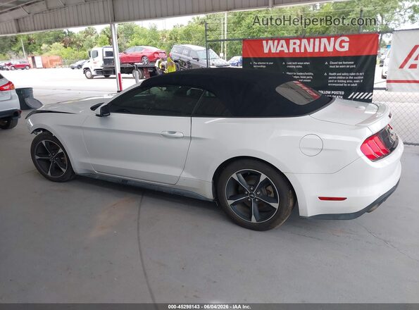 1FATP8UH8K5104481 2019 FORD MUSTANG White 