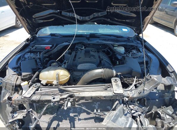 1FATP8UH9K5135724 2019 FORD MUSTANG Black უკანა ხედი