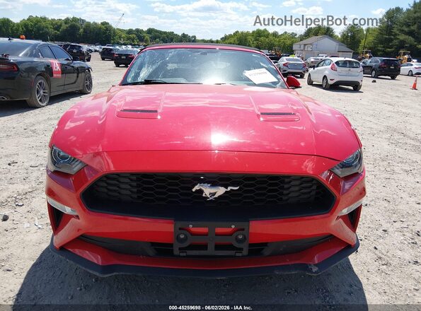 1FATP8UH9L5113093 2020 FORD MUSTANG Red Rear interior view