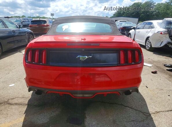 1FATP8UHXG5212768 2016 FORD MUSTANG Red Widok z tyłu
