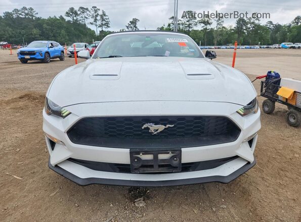 1FATP8UHXK5181689 2019 FORD MUSTANG Белый Вид спереди