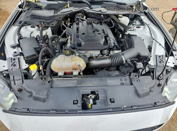 1FATP8UHXK5181689 2019 FORD MUSTANG Белый Вид задней части салона
