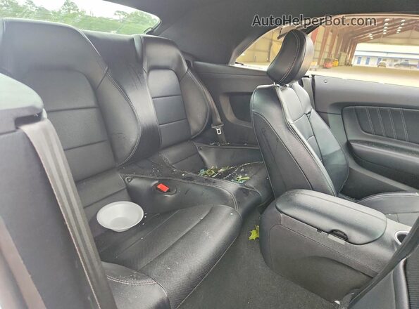 1FATP8UHXK5181689 2019 FORD MUSTANG Белый Вид задних сидений