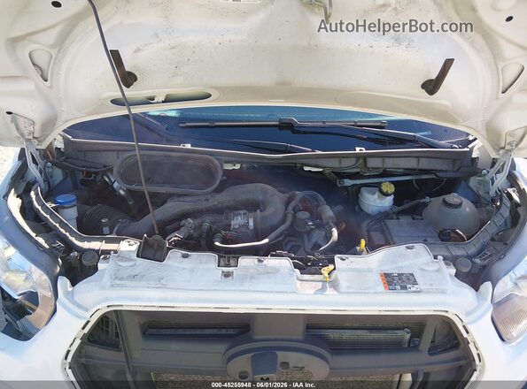 1FDBF6Z89MKA43079 2021 FORD TRANSIT-350 White უკანა ხედი
