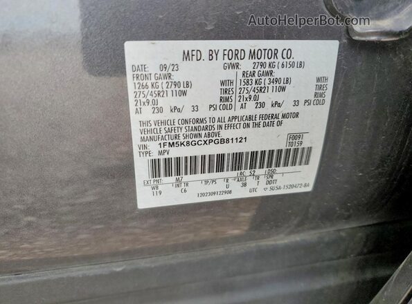1FM5K8GCXPGB81121 2023 FORD EXPLORER Gray 