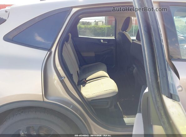 1FMCU0BZ3LUB79821 2020 FORD ESCAPE Tan Widok naklejki z numerem VIN