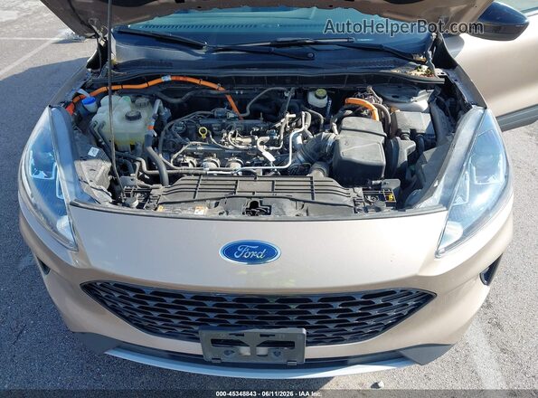 1FMCU0BZ3LUB79821 2020 FORD ESCAPE Tan Widok z tyłu