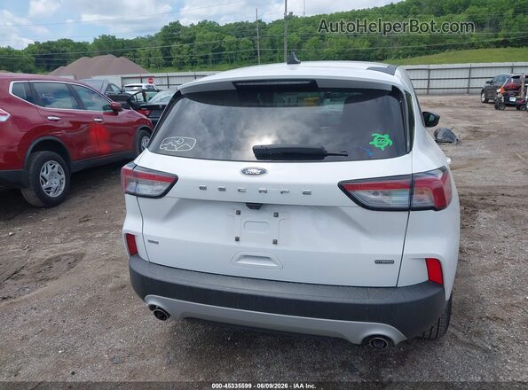 1FMCU0BZ4LUB14279 2020 FORD ESCAPE White 