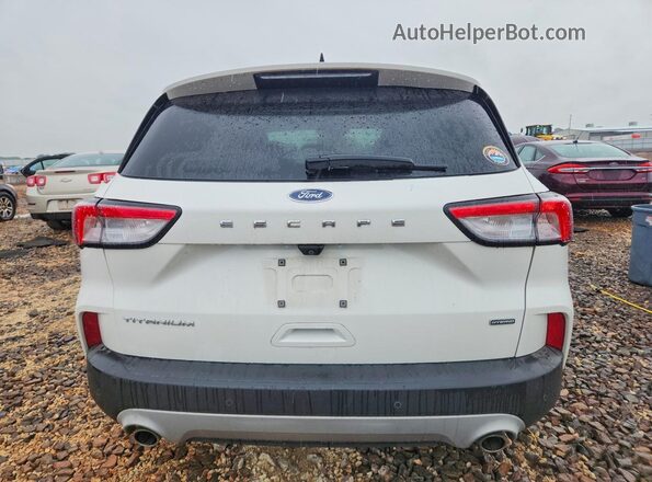 1FMCU0DZ1LUB65557 2020 FORD ESCAPE White Հետևի տեսք