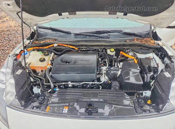 1FMCU0DZ1LUB65557 2020 FORD ESCAPE White Սալոնի հետևի տեսք