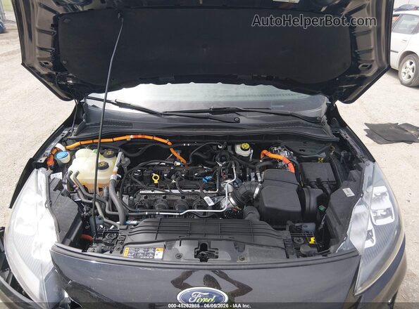 1FMCU0DZXMUB14169 2021 FORD ESCAPE Black Widok z tyłu