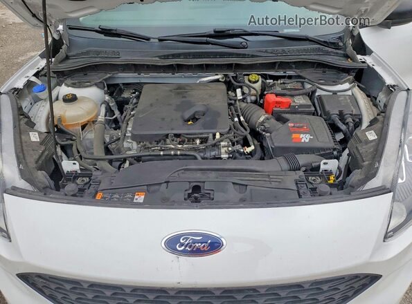 1FMCU0F61LUB68039 2020 FORD ESCAPE Белый 
