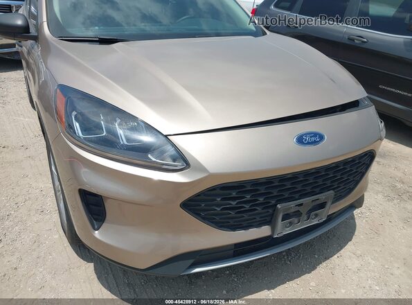 1FMCU0F68LUB90894 2020 FORD ESCAPE Желто-коричневый 