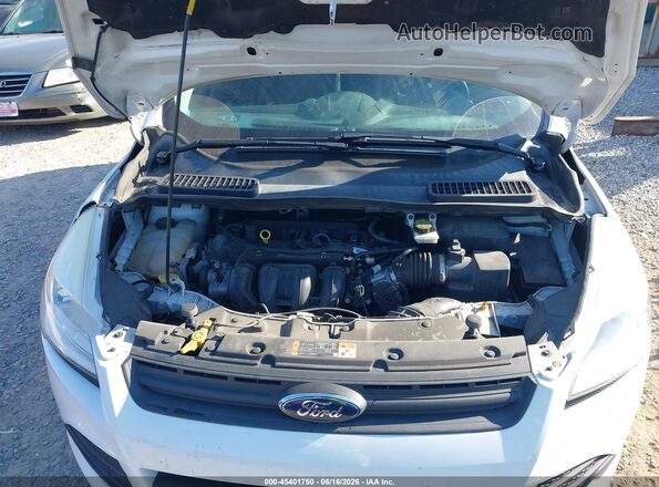1FMCU0F75GUB93699 2016 FORD ESCAPE Белый Вид сзади