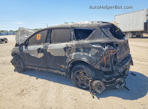 1FMCU0F77HUD20728 2017 FORD ESCAPE Burn უკანა მარცხენა