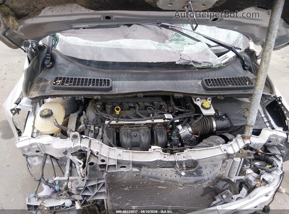 1FMCU0F77KUA58622 2019 FORD ESCAPE Silver Հետևի տեսք