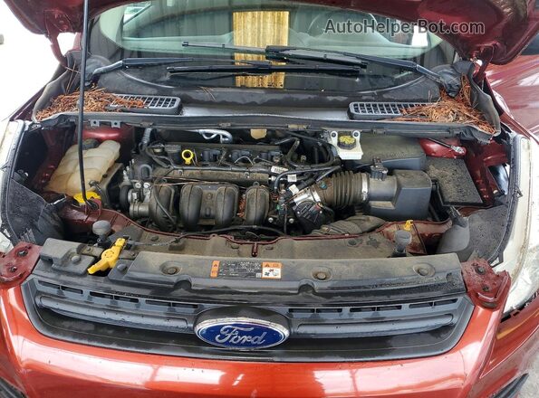 1FMCU0F78GUA37446 2016 FORD ESCAPE Оранжевый Вид задней части салона