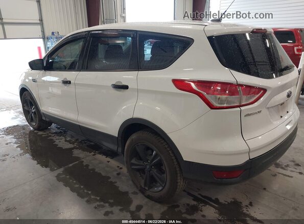 1FMCU0F78GUA53159 2016 FORD ESCAPE White Tył lewy