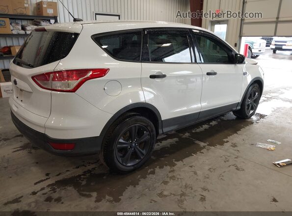 1FMCU0F78GUA53159 2016 FORD ESCAPE White Tył prawy