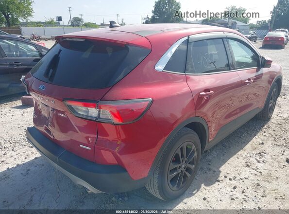 1FMCU0G60LUC32201 2020 FORD ESCAPE Red უკანა მარჯვენა
