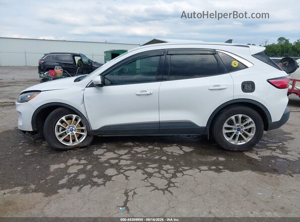 1FMCU0G60MUB00167 2021 FORD ESCAPE Белый Панорамный вид салона 360°