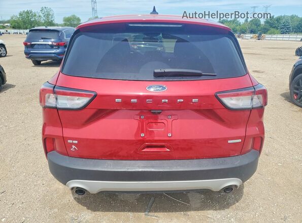 1FMCU0G63LUB22680 2020 FORD ESCAPE Red Widok z tyłu