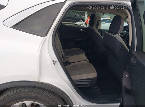 1FMCU0G64LUB23997 2020 FORD ESCAPE White Vista de la etiqueta del VIN