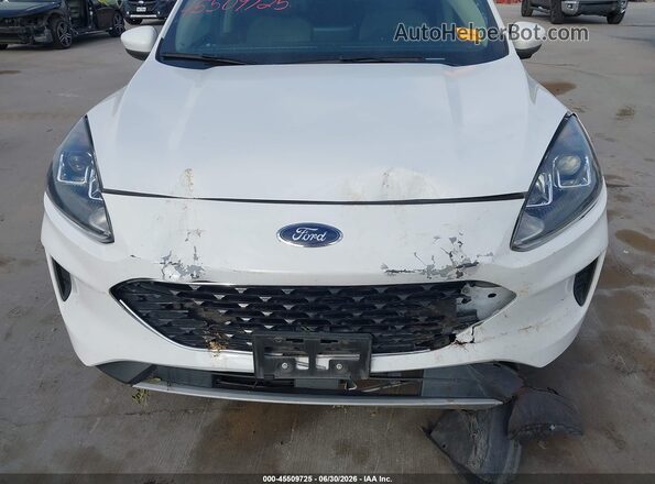 1FMCU0G64LUB23997 2020 FORD ESCAPE White Vista frontal
