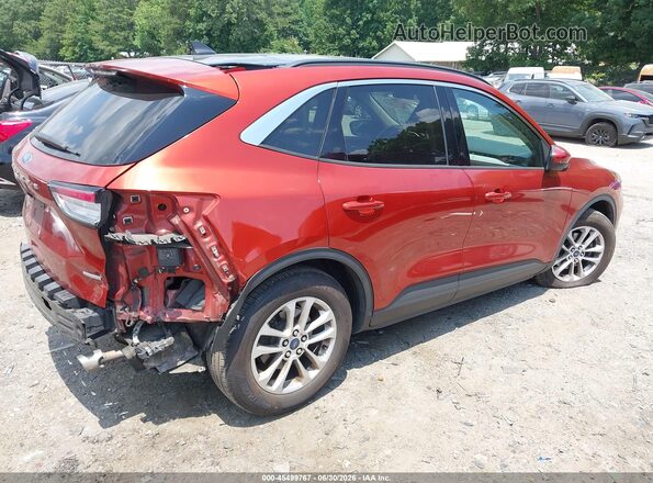 1FMCU0G65LUA66659 2020 FORD ESCAPE Orange Задня права чверть