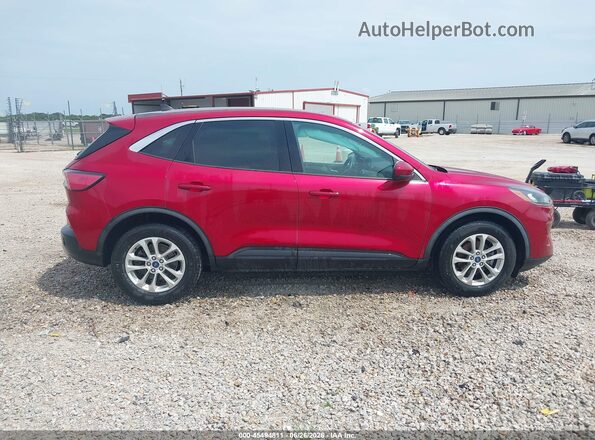 1FMCU0G67LUB46965 2020 FORD ESCAPE Burgundy Widok wnętrza z tyłu