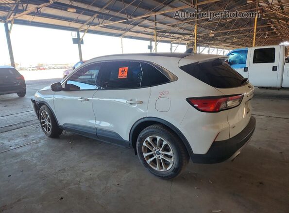 1FMCU0G67LUC03438 2020 FORD ESCAPE White 