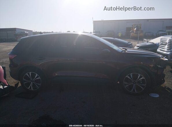 1FMCU0G69MUA93851 2021 FORD ESCAPE Красный Панорамный вид салона 360°
