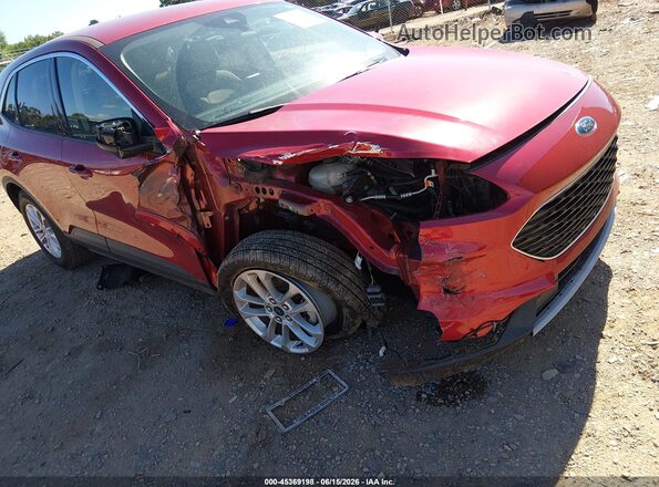1FMCU0G6XLUB98204 2020 FORD ESCAPE Red Դիմացի տեսք