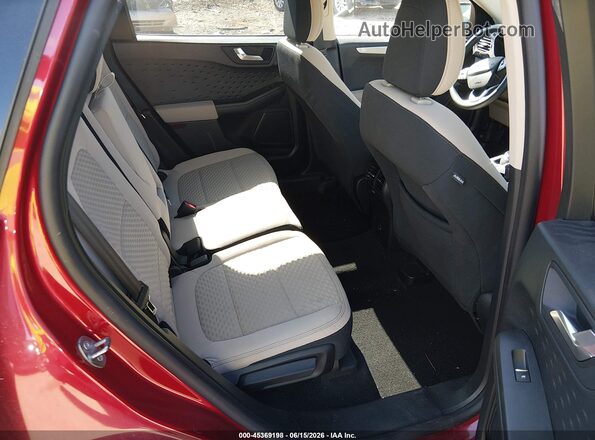 1FMCU0G6XLUB98204 2020 FORD ESCAPE Red VIN կոդի պիտակի տեսք