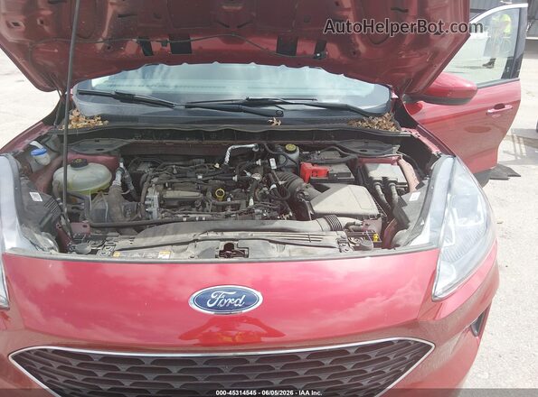 1FMCU0G6XMUB09894 2021 FORD ESCAPE Red Հետևի տեսք