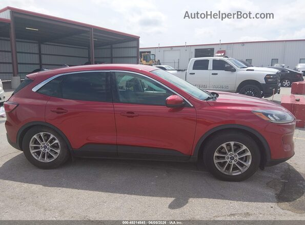 1FMCU0G6XMUB09894 2021 FORD ESCAPE Red Սալոնի հետևի տեսք