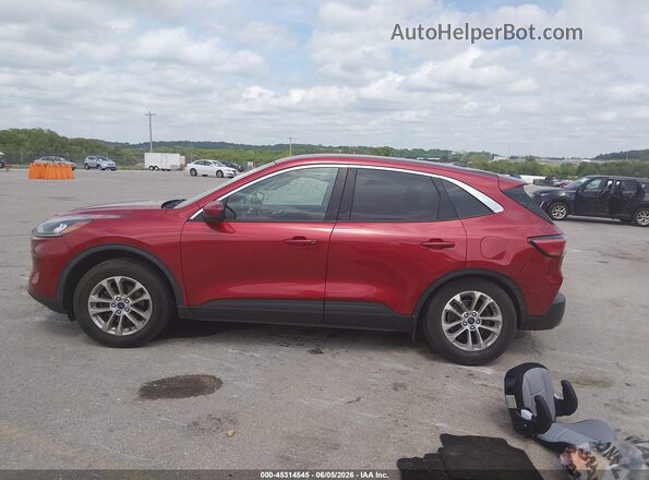 1FMCU0G6XMUB09894 2021 FORD ESCAPE Red Սալոնի 360 աստիճան տեսք