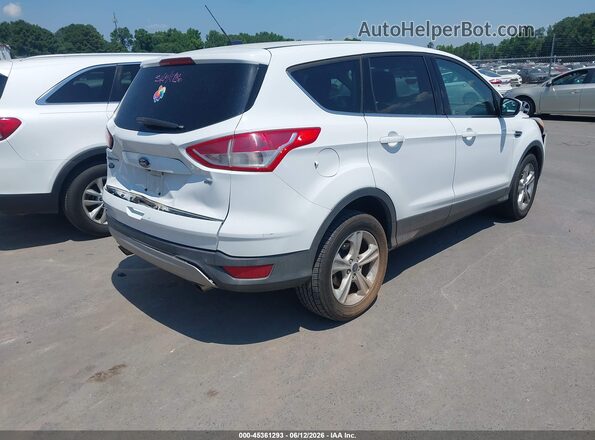 1FMCU0G71GUB88143 2016 FORD ESCAPE White Rear right