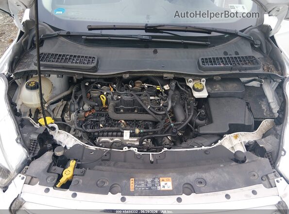 1FMCU0GD1KUC35508 2019 FORD ESCAPE Белый Вид сзади