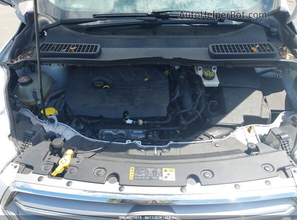 1FMCU0GD3HUE63888 2017 FORD ESCAPE Белый 