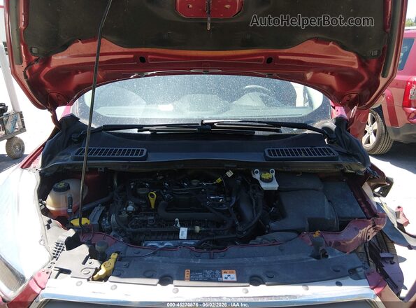 1FMCU0GD3KUA51817 2019 FORD ESCAPE Red Vista trasera